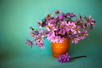 Beautiful spring flowers anemones bouquet isolated on green background