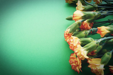 Flowers bouquet of yellow red carnations on a green background macro photo isolate