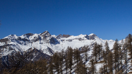 panorama from the Vallone di Elva in the Maira Valley