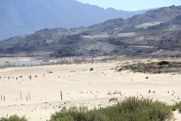 Drought, Theewaterskloof Dam in Western Cape
