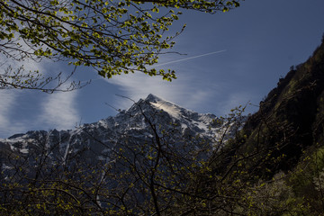 panorama from the Vallone di Elva in the Maira Valley