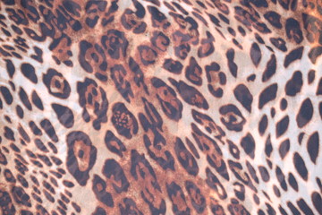 seamless leopard skin texture and background