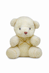 teddy bear isolated on white background
