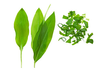 Chopped fresh wild garlic, ramson isolated on white background. Allium ursinum, known as wild garlic, ramson. Isolated on white background. Fresh ramsons leaves. Wild garlic leaves. Healthy vegetable.