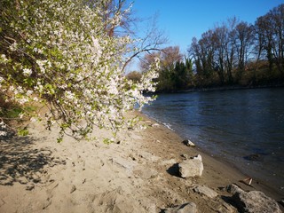 Mur, Fluss, Graz, Ufer, Panorama