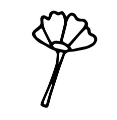 hand drawn doodle of flowers. Simple line sketch floral collection. black and white with lettering Flowers.