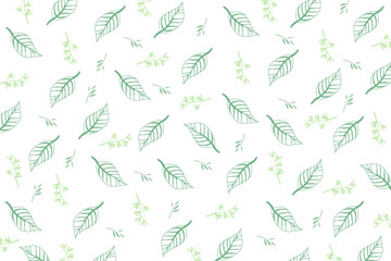 zielone liście na białym tle - obrazy, fototapety, plakaty