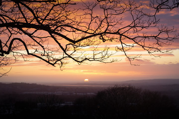 Sunset and winter trees at Ravenhill park in Swansea, South Wales, UK
