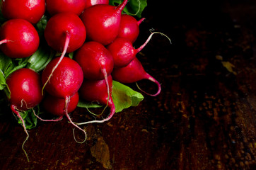 Fresh radish with green tops on a dark wooden background, drops of water on vegetables, space for text, close-up