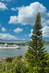 Fototapeta na wymiar A fir tree overlooking the harbor of St Croix with a cruise ship in the background
