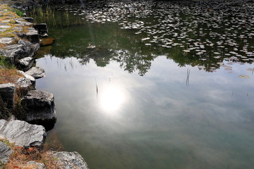 Fototapeta na wymiar 연잎이 보이는 호수