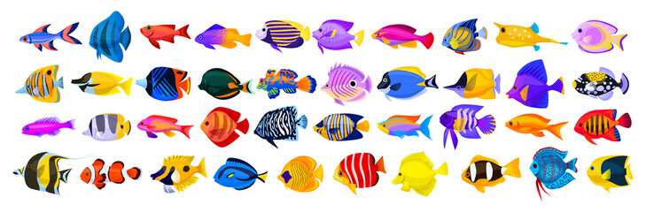 Tropical fish vector cartoon icon. Isolated cartoon icon aquarium animals .Vector illustration tropical fish on white background. - obrazy, fototapety, plakaty