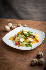 Vegitable salad with murshrooms, capsicum and salat