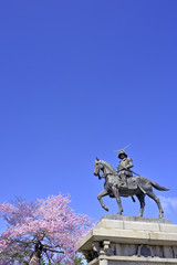 桜と伊達政宗騎馬像