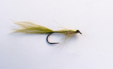 Fishing fly on a white background, with hook