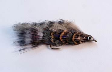 Fishing fly on a white background, with hook