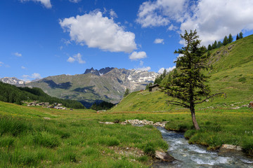 Fototapeta na wymiar torrente a Cheneil, Valtournanche