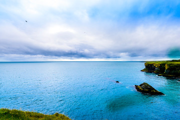 Obraz premium Beautiful rugged Iceland coast seascape