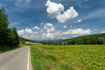 Summer landscape near Lippiano, Umbria, Italy