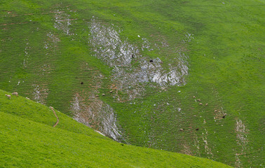 Beautiful mountain landscape and grass field, Jammu and Kashmir state, India
