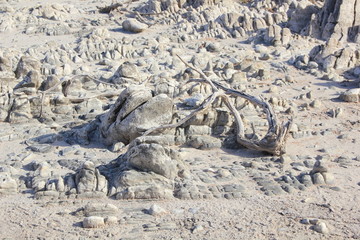Drought, salt lake, Vermont, Western Cape