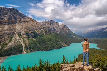 Young man looking at Peyto lake on Icefields Parkway in Banff National Park, Alberta, Rocky Mountains, Canada