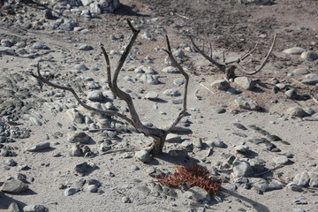 Drought, salt lake, Vermont, Western Cape