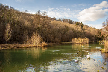 Beautiful Lake in Luxembourg