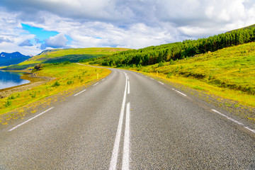 Iceland road trip vistas