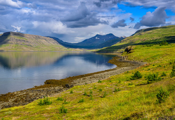 Beautiful rugged Iceland Fjord seascape