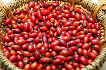 red rose hips in basket . Fresh harvested rose hips in the basket. A basket of red rose hips ....