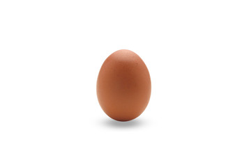 Single brown chicken egg isolated on white background with clipping path