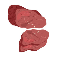 Beef meat, fresh slice of red meat vector illustration