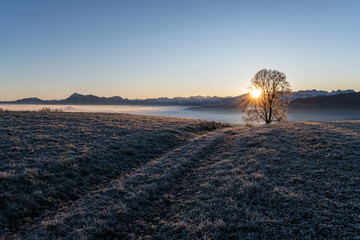 Fototapeta na wymiar Field path in the morning light