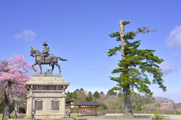 桜と伊達政宗騎馬像