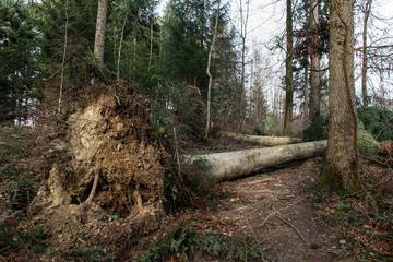 Storm damage storm low Petra 4201