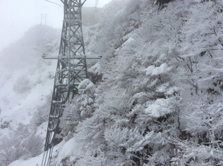 Fototapeta premium Scenery from the ropeway of Mt. Gozaisho 