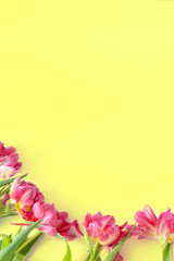 Naklejka premium Top view on pink tulip flowers that lie on a yellow background. The concept of a flat lay, holiday, gift, postcard, International Women's Day, March 8th.