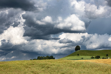 Obraz premium Swiss back country landscape with a lime tree before a thunderstorm