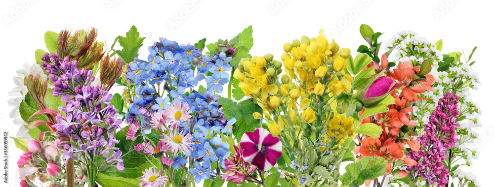Wall mural spring time leaves and flowers line border macro isolated set