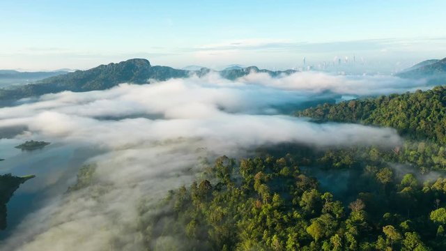 UHD Aerial time lapse view flying over lush green tropical foggy rain forest with city skyline in background. Rolling clouds in early morning sunrise in Kuala Lumpur