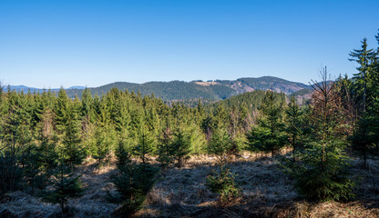Meadows at the end of winter with snow and mountains in the background, beskydy czech