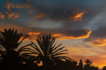 Silhouette of a minaret (mosque) and date palms against a beautiful colorful sky at sunset.
