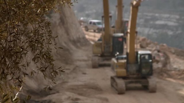 bagger and olive tree