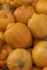 Fresh organic Moroccan lemon at a farmers market.