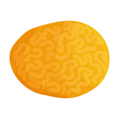 Coral vector icon.Cartoon vector icon isolated on white background coral.