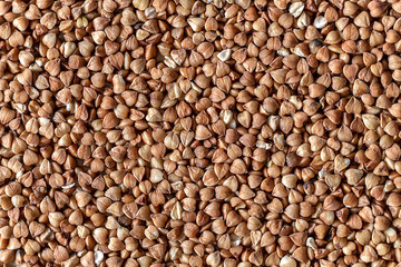 Essential goods: Buckwheat. Buckwheat seed pour in bunch closeup. Buckwheat cereal background.