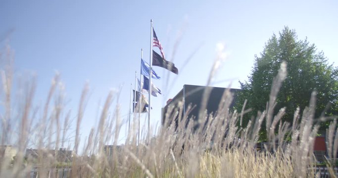 Flags blowing with Golden Grass 