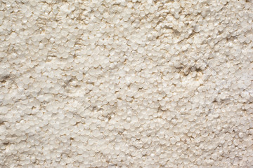 texture of facade dirty white styrofoam background close-up