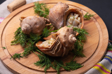 cooked  rapa whelk  with dill on a wooden round board